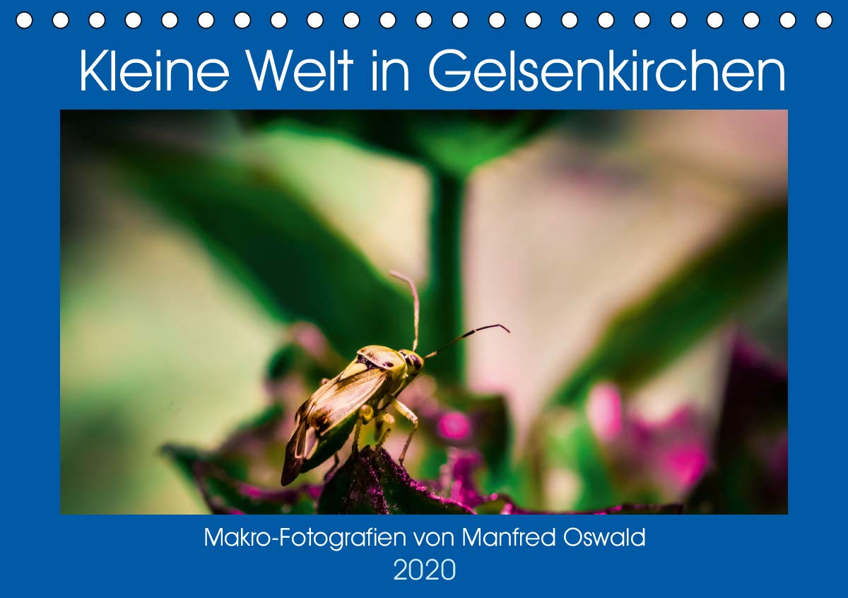 Kleine Welt in Gelsenkirchen (Tischkalender 2020 DIN A5 quer): Makro-Fotografien von Manfred Oswald (Monatskalender, 14 Seiten ) (CALVENDO Natur) Photography