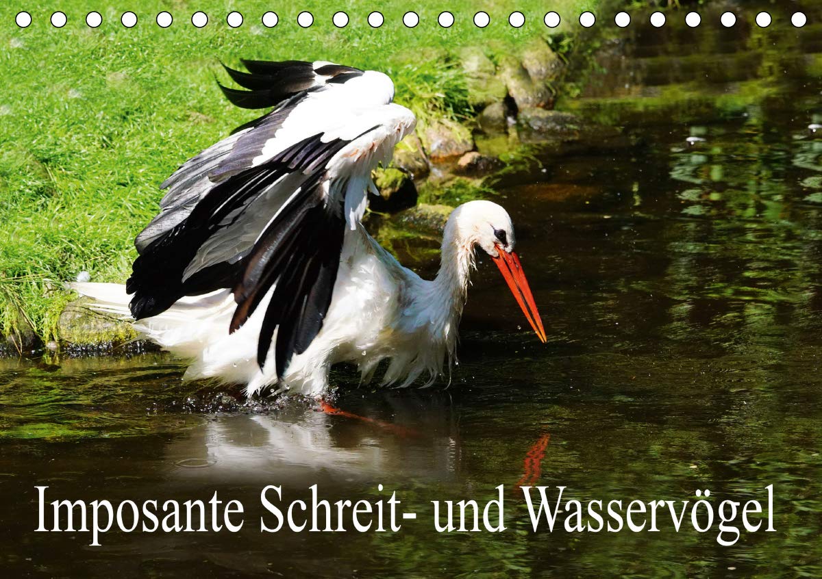 Imposante Schreit- und Wasservögel (Tischkalender 2020 DIN A5 quer): Aufnahmen aus Thailand und dem Vogelpark Walsrode. (Monatskalender, 14 Seiten ) (CALVENDO Natur) Lifestyle