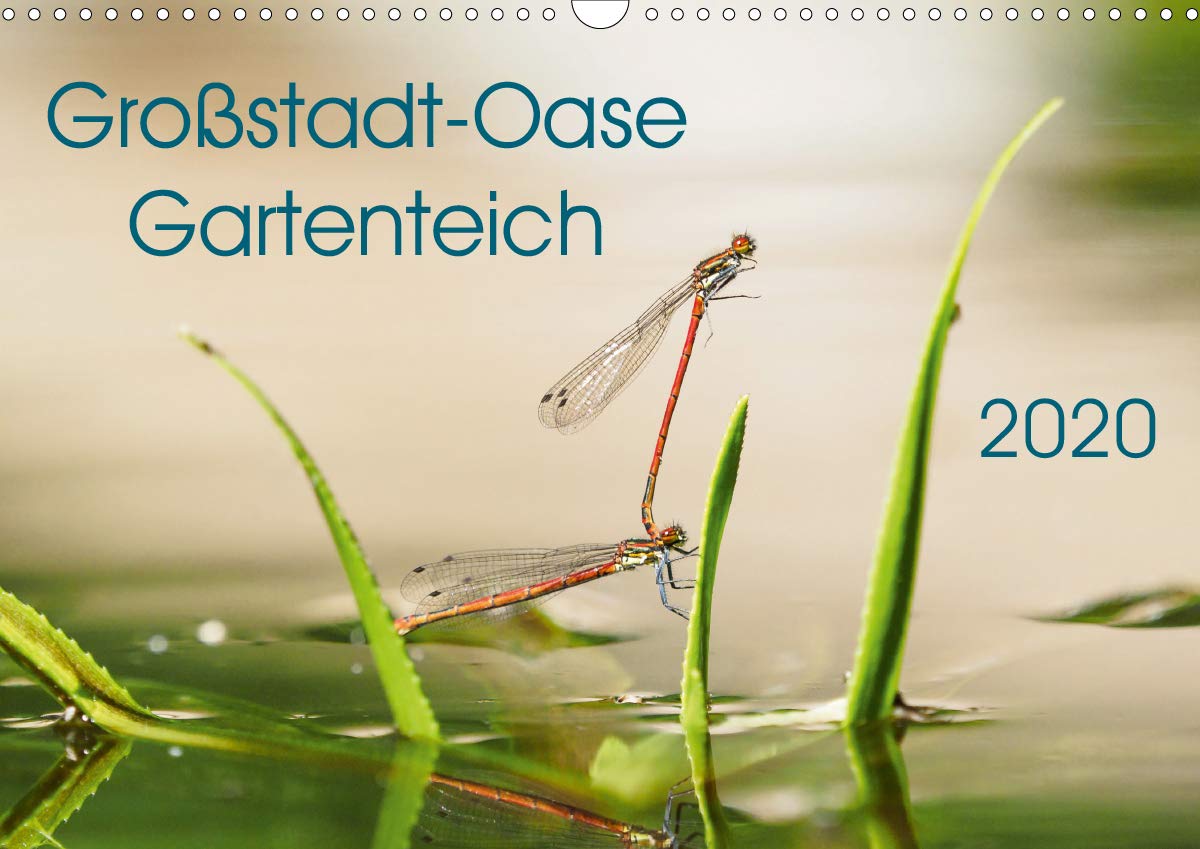 Großstadt-Oase Gartenteich (Wandkalender 2020 DIN A3 quer): Die Stille trügt (Monatskalender, 14 Seiten ) (CALVENDO Tiere) Living & Furnishing