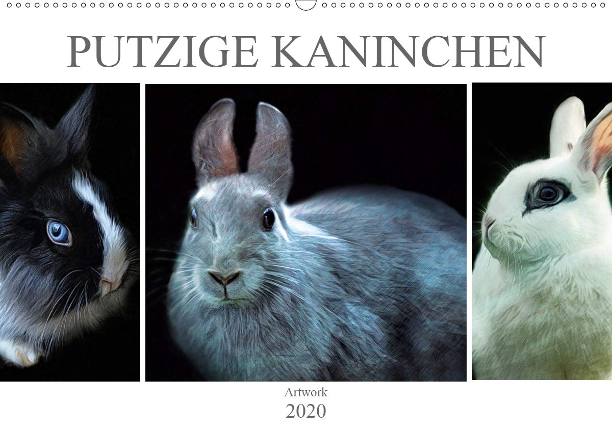 Putzige Kaninchen - Artwork (Wandkalender 2020 DIN A2 quer): Kleine Haustiere (Monatskalender, 14 Seiten ) (CALVENDO Tiere) Pets