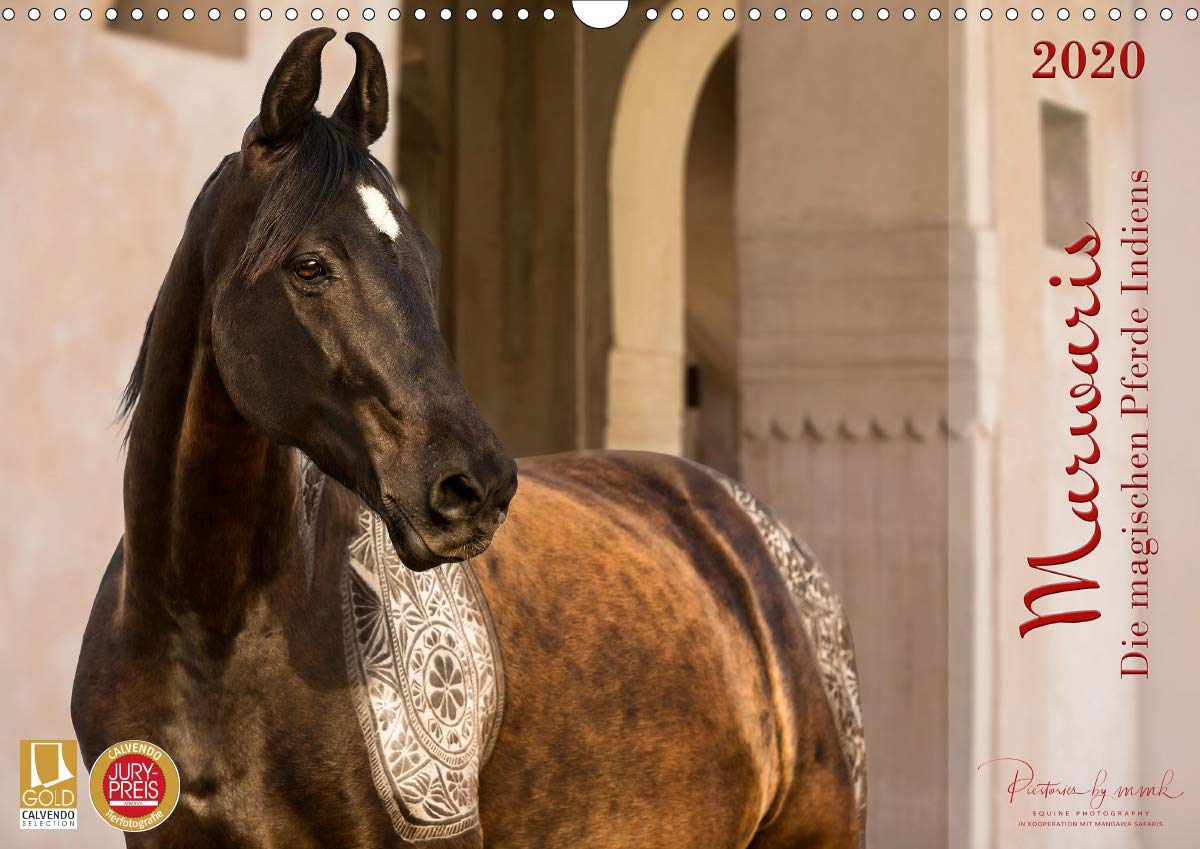 Marwaris - Die magischen Pferde Indiens (Wandkalender 2020 DIN A3 quer): Faszinierende Fotografien der Marwaris. Tauchen Sie ein in die magische Welt ... (Monatskalender, 14 Seiten ) (CALVENDO Tiere) Leisure, Home & Garden