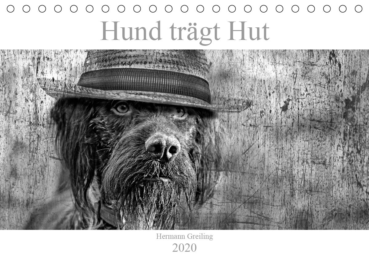 Hund trägt Hut (Tischkalender 2020 DIN A5 quer): Hunde mal anders, lustig und farbenfroh (Monatskalender, 14 Seiten ) (CALVENDO Tiere) Leisure, Home & Garden