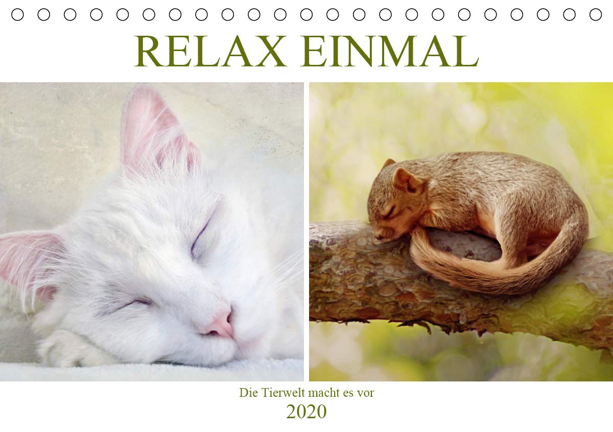 Relax einmal - Die Tierwelt macht es vor (Tischkalender 2020 DIN A5 quer): Tiere am träumen und chillen (Monatskalender, 14 Seiten ) (CALVENDO Tiere) Leisure, Home & Garden