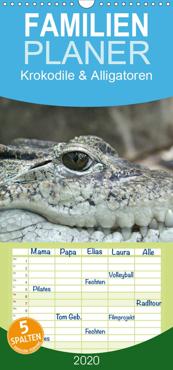 Krokodile & Alligatoren - Familienplaner hoch (Wandkalender 2020 , 21 cm x 45 cm, hoch): Gigantische Urzeitechsen ganz nah sehen (Monatskalender, 14 Seiten ) (CALVENDO Tiere) Living & Furnishing