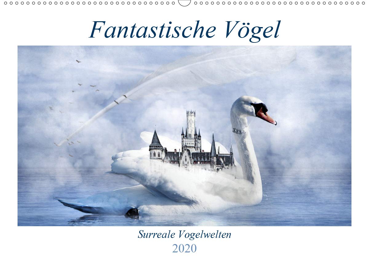 Fantastische Vögel (Wandkalender 2020 DIN A2 quer): Surreale Vogelwelten, wie man sie noch nie gesehen hat. (Geburtstagskalender, 14 Seiten ) (CALVENDO Kunst) Photography