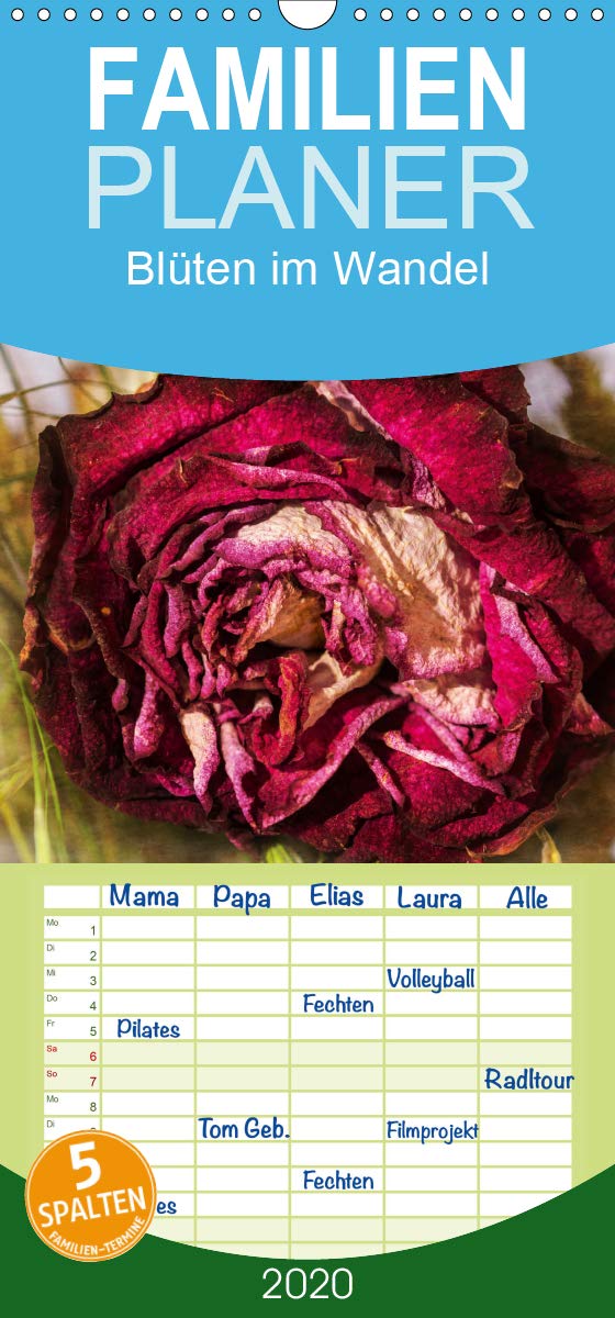Blüten im Wandel - Familienplaner hoch (Wandkalender 2020 , 21 cm x 45 cm, hoch): Verblühte Schönheiten und Samenstände als Makro- oder Nahaufnahme ... (Monatskalender, 14 Seiten ) (CALVENDO Natur) Garden & Plants