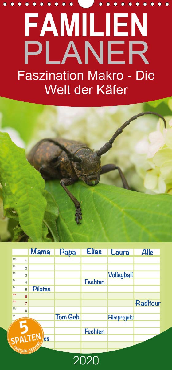 Faszination Makro - Die Welt der Käfer - Familienplaner hoch (Wandkalender 2020 , 21 cm x 45 cm, hoch): 12 zauberhafte Makroaufnahmen entführen Sie in ... (Monatskalender, 14 Seiten ) (CALVENDO Tiere) Natural Sciences