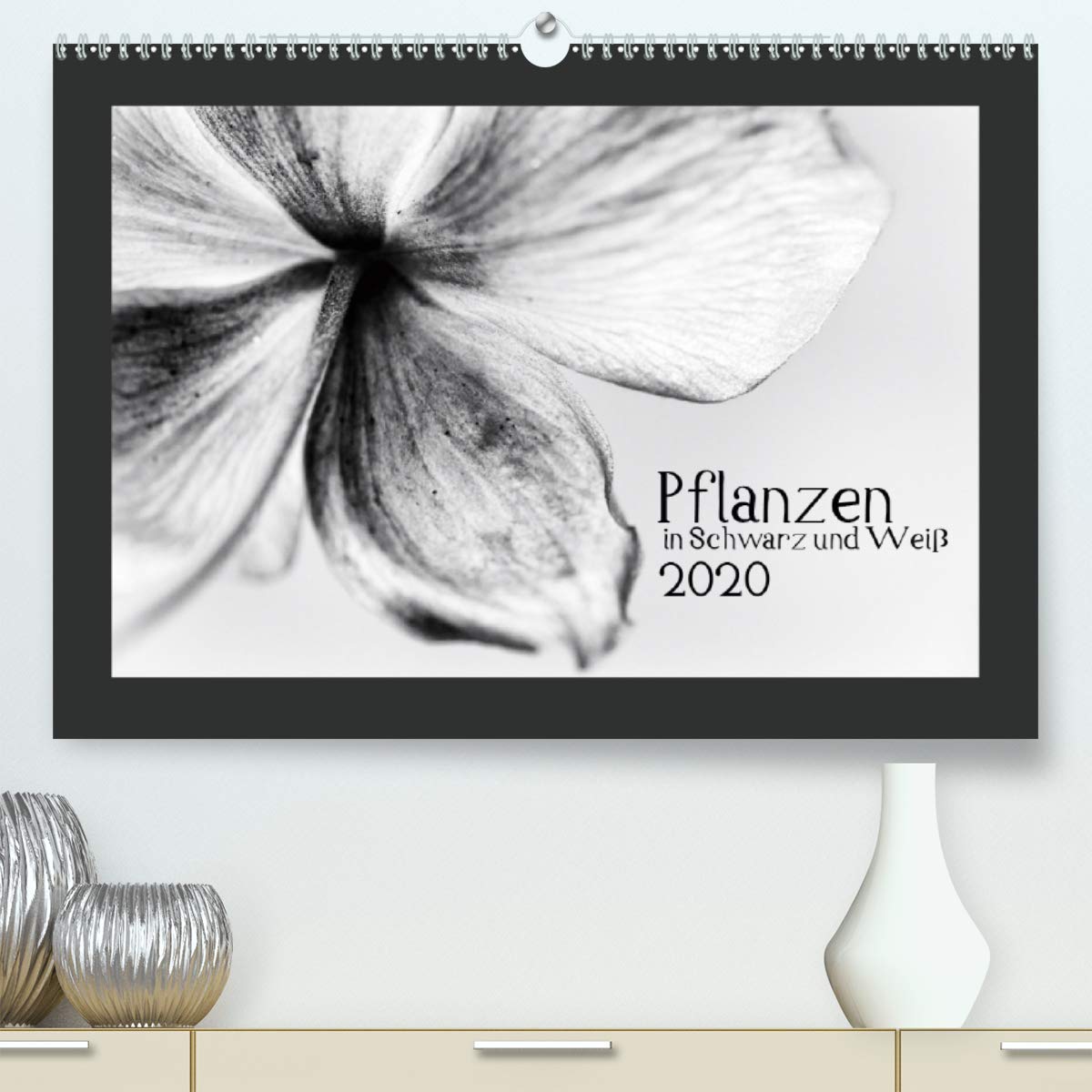 Pflanzen in Schwarz und Weiß (Premium, hochwertiger DIN A2 Wandkalender 2020, Kunstdruck in Hochglanz): Wald- und Wiesenpflanzen in Schwarz und Weiß (Monatskalender, 14 Seiten ) (CALVENDO Natur) Leisure, Home & Garden