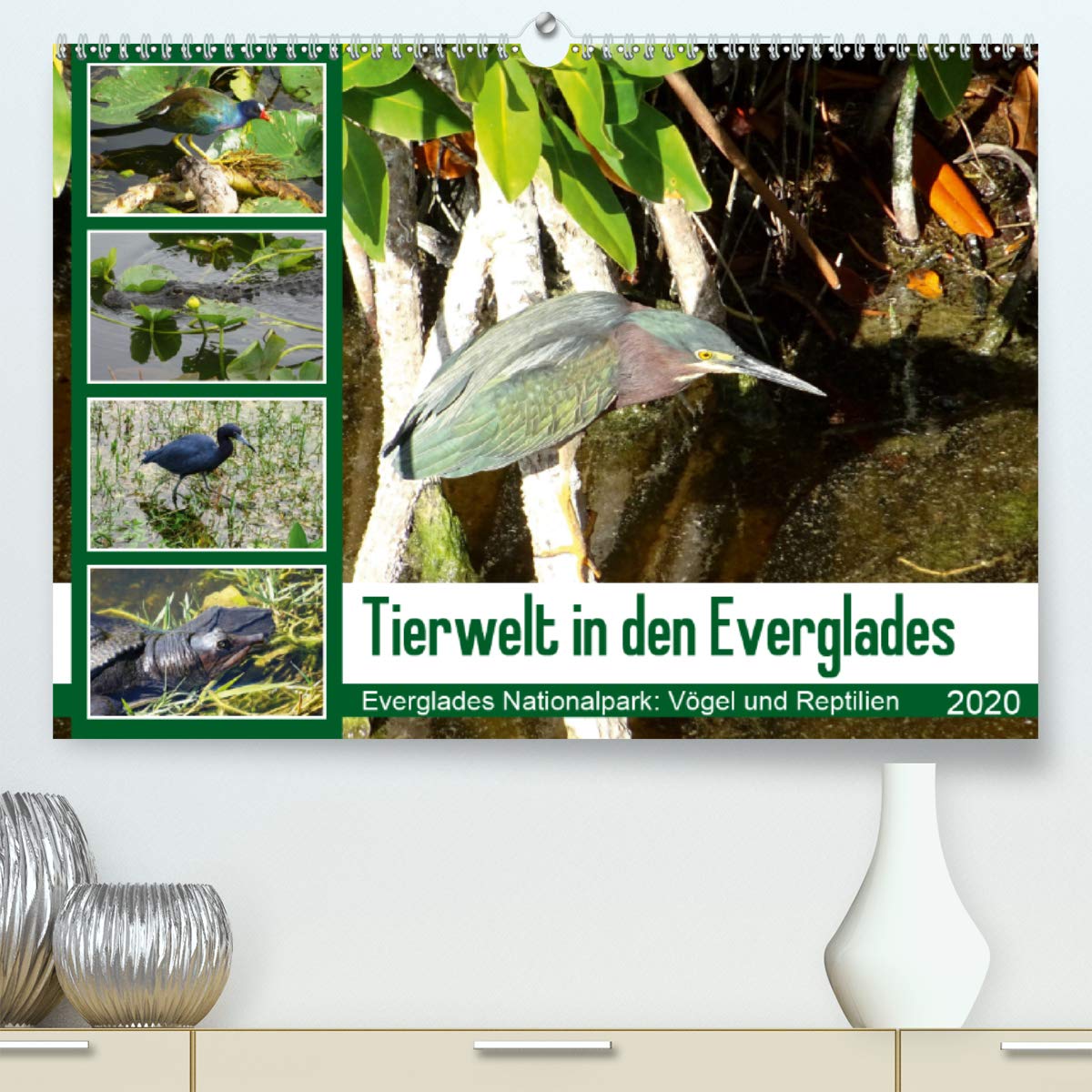 Tierwelt in den Everglades (Premium, hochwertiger DIN A2 Wandkalender 2020, Kunstdruck in Hochglanz): Die Everglades sind ein Tierparadies. (Monatskalender, 14 Seiten ) (CALVENDO Tiere) Leisure, Home & Garden