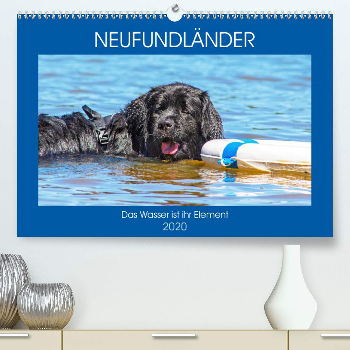 Neufundländer - Das Wasser ist ihr Element (Premium, hochwertiger DIN A2 Wandkalender 2020, Kunstdruck in Hochglanz): Neufundländer in allen drei ... (Monatskalender, 14 Seiten ) (CALVENDO Tiere) Natural Sciences