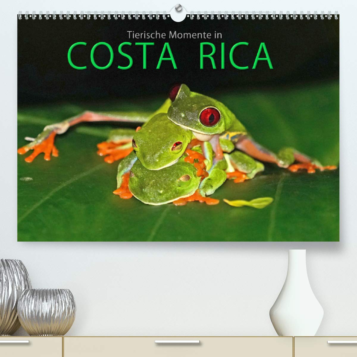 COSTA RICA - Tierische Momente (Premium, hochwertiger DIN A2 Wandkalender 2020, Kunstdruck in Hochglanz): Kleiner Einblick in die Tierwelt Costa Ricas (Monatskalender, 14 Seiten ) (CALVENDO Tiere) Photography