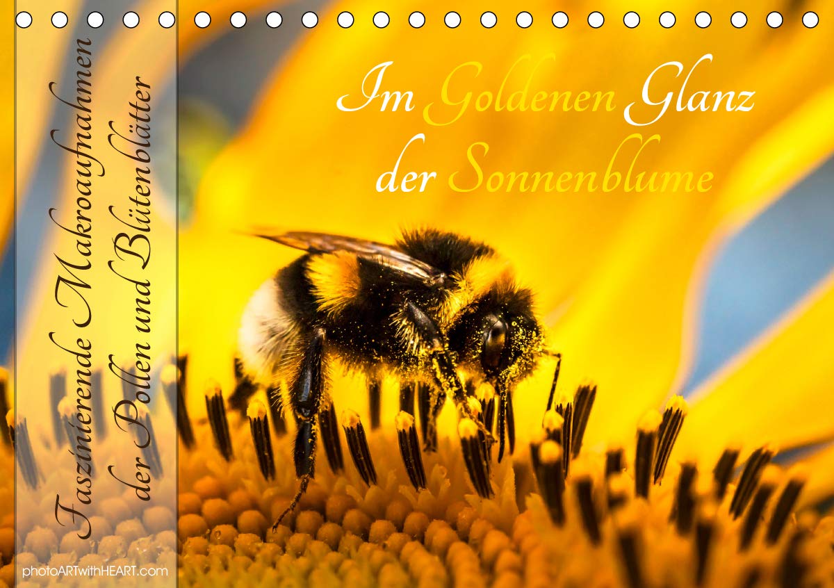 Im Goldenen Glanz der Sonnenblume (Tischkalender 2020 DIN A5 quer): Im Goldenen Glanz der Sonnenblume – Faszinierende Makroaufnahmen der Pollen und ... (Monatskalender, 14 Seiten ) (CALVENDO Natur) Leisure, Home & Garden