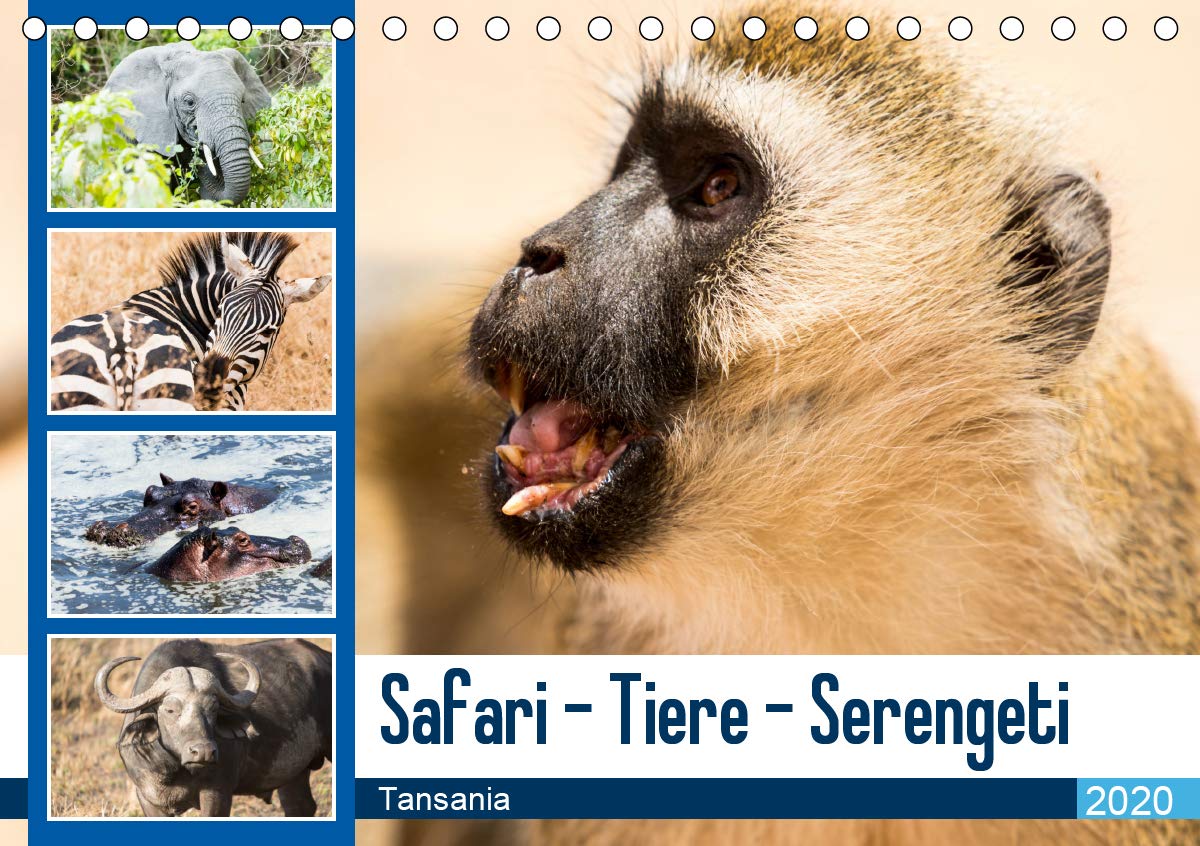 Safari - Tiere - Serengeti (Tischkalender 2020 DIN A5 quer): Wunderbare Tierwelt der Serengeti in Tansania (Monatskalender, 14 Seiten ) (CALVENDO Tiere) Photography