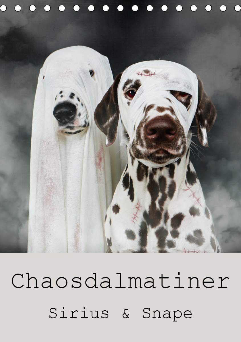 Chaosdalmatiner Sirius und Snape (Tischkalender 2020 DIN A5 hoch): Außergewöhnliche Dalmatiner Portraits (Monatskalender, 14 Seiten ) (CALVENDO Tiere) Photography