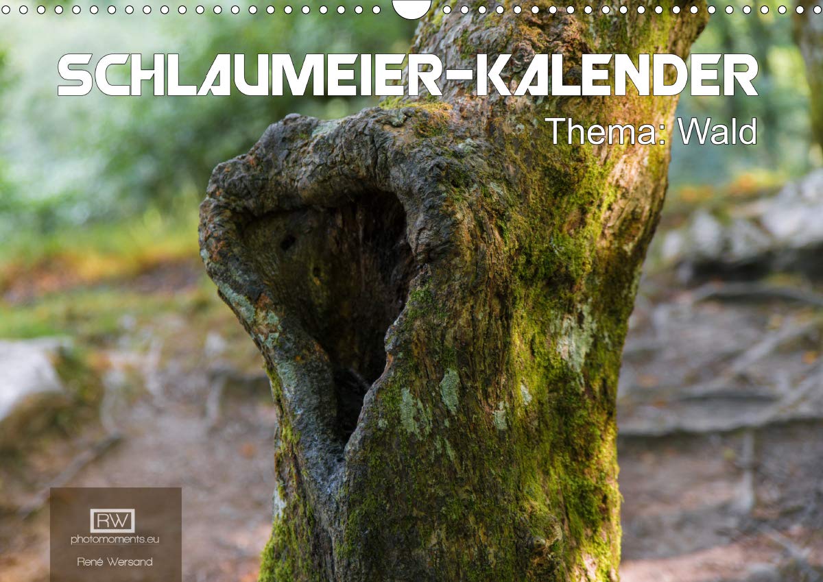 Schlaumeier-Kalender - Thema: Wald (Wandkalender 2021 DIN A3 quer): 12 tolle Motive aus dem Wald mit interessanten Fakten zum Thema Wald. (Monatskalender, 14 Seiten ) (CALVENDO Natur) Leisure, Home & Garden