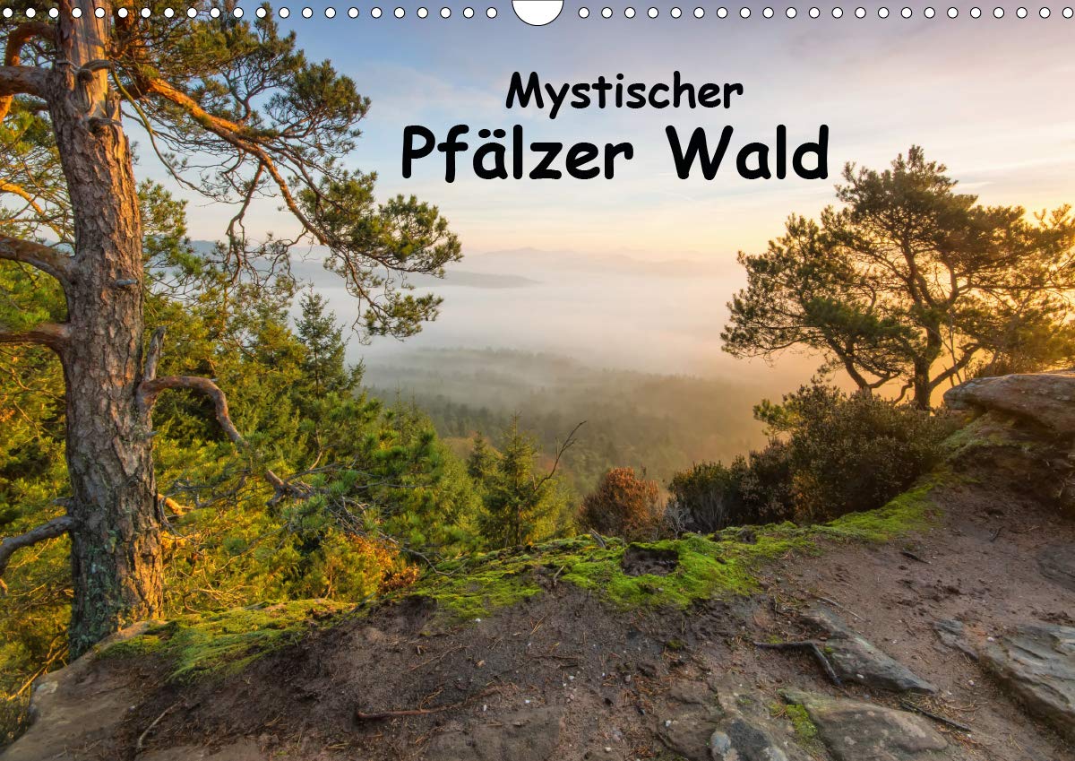 Mystischer Pfälzer Wald (Wandkalender 2021 DIN A3 quer): Der Pfälzer Wald im Licht (Monatskalender, 14 Seiten ) (CALVENDO Natur) Leisure, Home & Garden