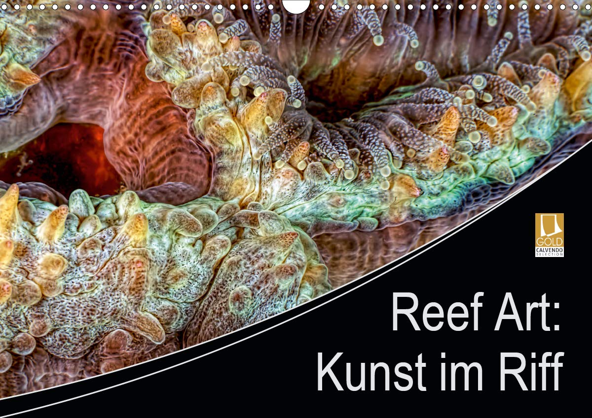 Reef Art - Kunst im Riff (Wandkalender 2021 DIN A3 quer): Zwölf traumhafte Fotografien des künstlerischen Schaffens der Natur in den Riffen der Ozeane ... (Monatskalender, 14 Seiten ) (CALVENDO Natur) Leisure, Home & Garden