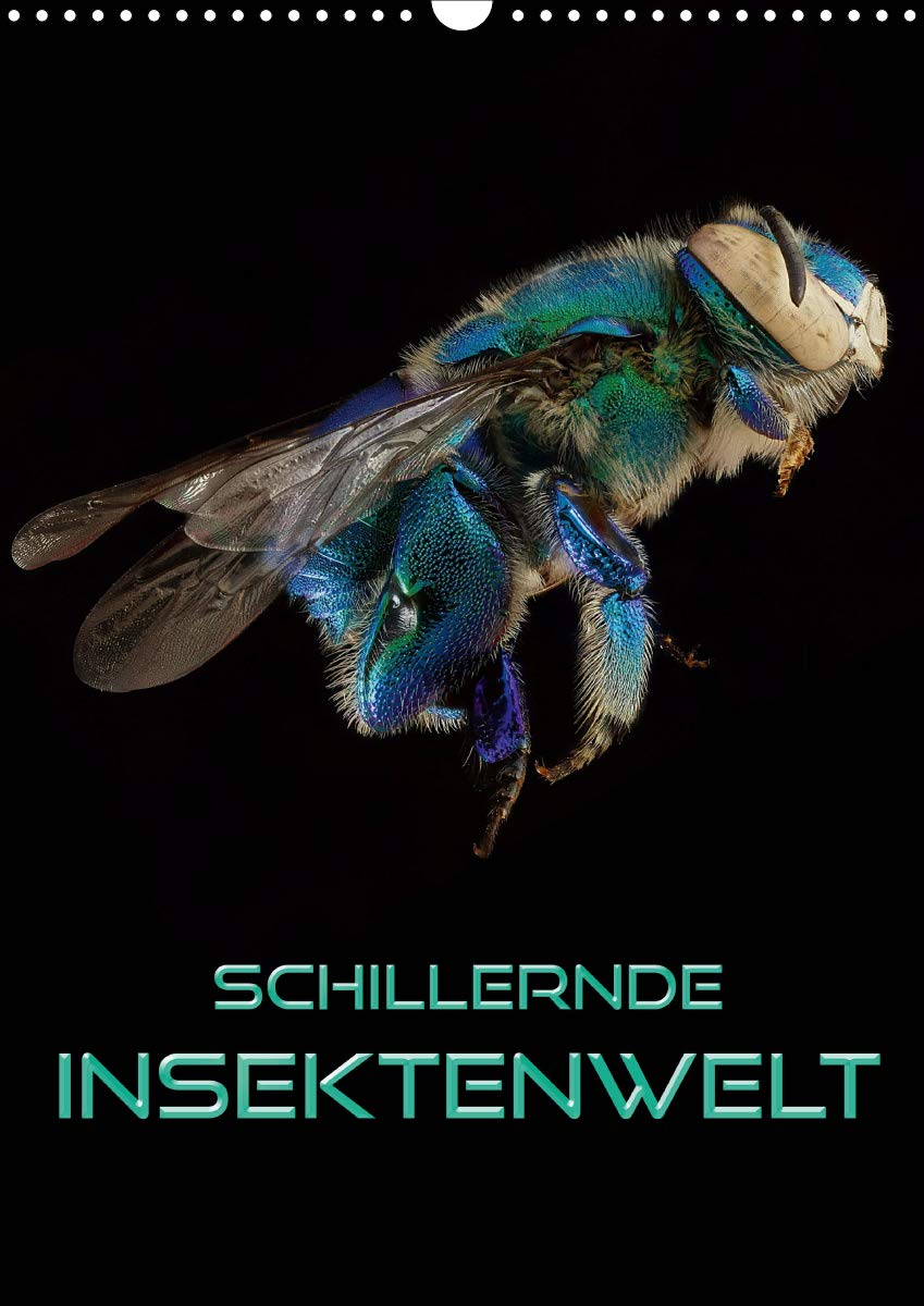 Schillernde Insektenwelt (Wandkalender 2021 DIN A3 hoch): Faszinierende Nahaufnahmen verschiedener Insekten im Kontrast zu schwarzem Hintergrund (Monatskalender, 14 Seiten ) (CALVENDO Tiere) Lifestyle