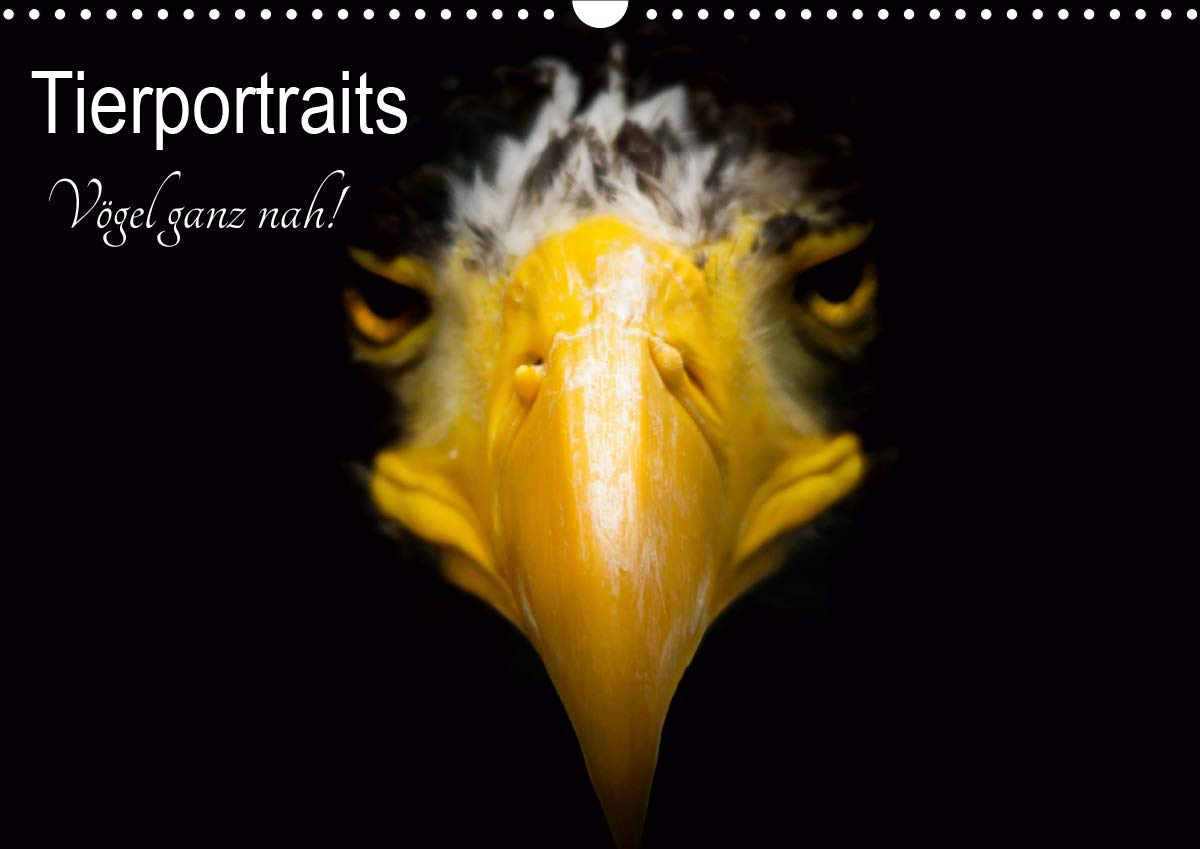 Tierportraits - Vögel ganz nah (Wandkalender 2021 DIN A3 quer): Faszinierende Nahaufnahmen, sowohl von heimischen als auch exotischen Vögeln! (Monatskalender, 14 Seiten ) (CALVENDO Tiere) Photography