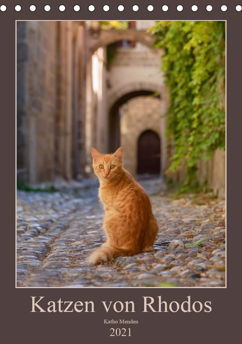 Katzen von Rhodos (Tischkalender 2021 DIN A5 hoch): Anmutige Katzen in malerischen alten Dorfgassen und vor bunten Blüten fotografiert auf der ... (Monatskalender, 14 Seiten ) (CALVENDO Tiere) Photography