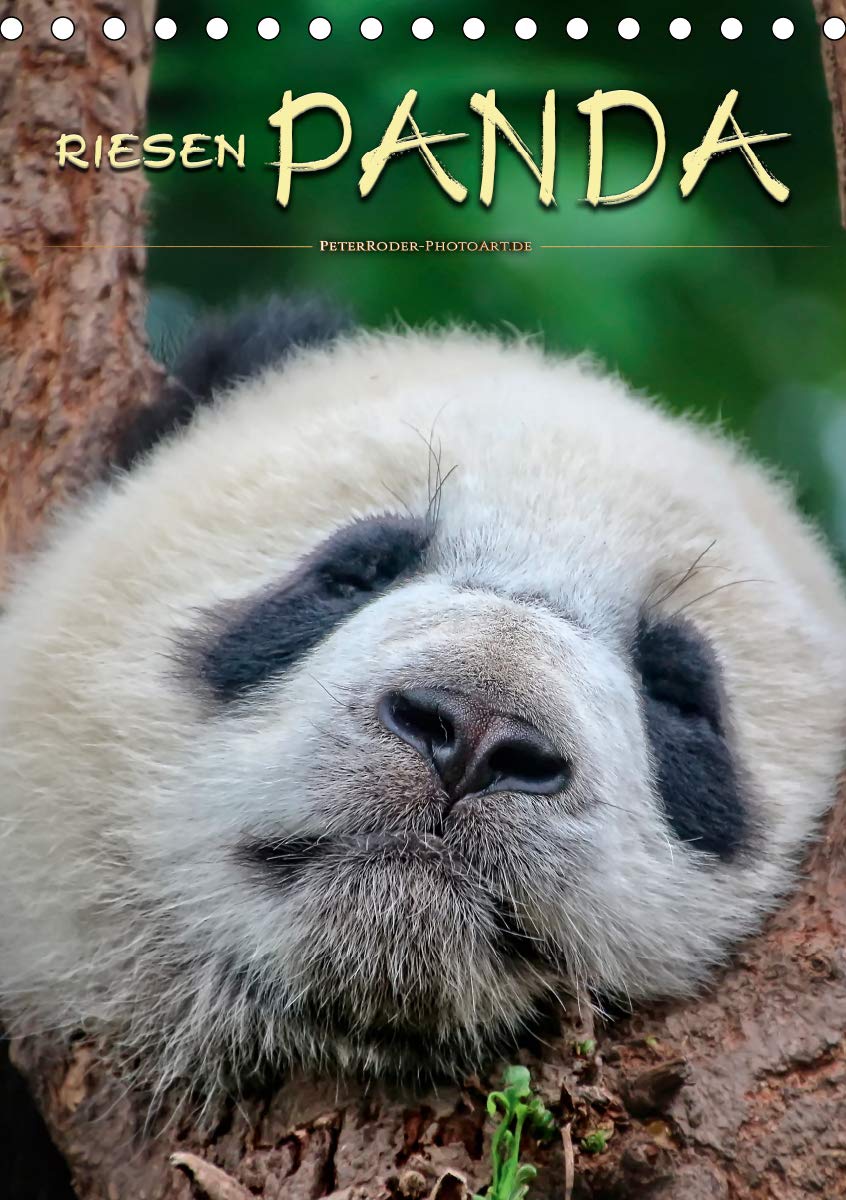 Riesenpanda (Tischkalender 2021 DIN A5 hoch): Eindrucksvolle Bilder eines wunderschönen Tieres. (Monatskalender, 14 Seiten ) (CALVENDO Tiere) Living & Furnishing