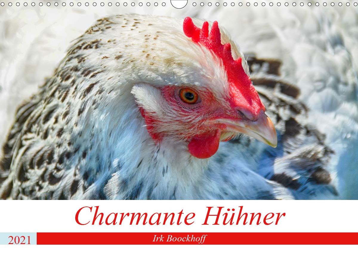 Charmante Hühner (Wandkalender 2021 DIN A3 quer): Hühner mit Seele und Charakter (Monatskalender, 14 Seiten ) (CALVENDO Tiere) Photography