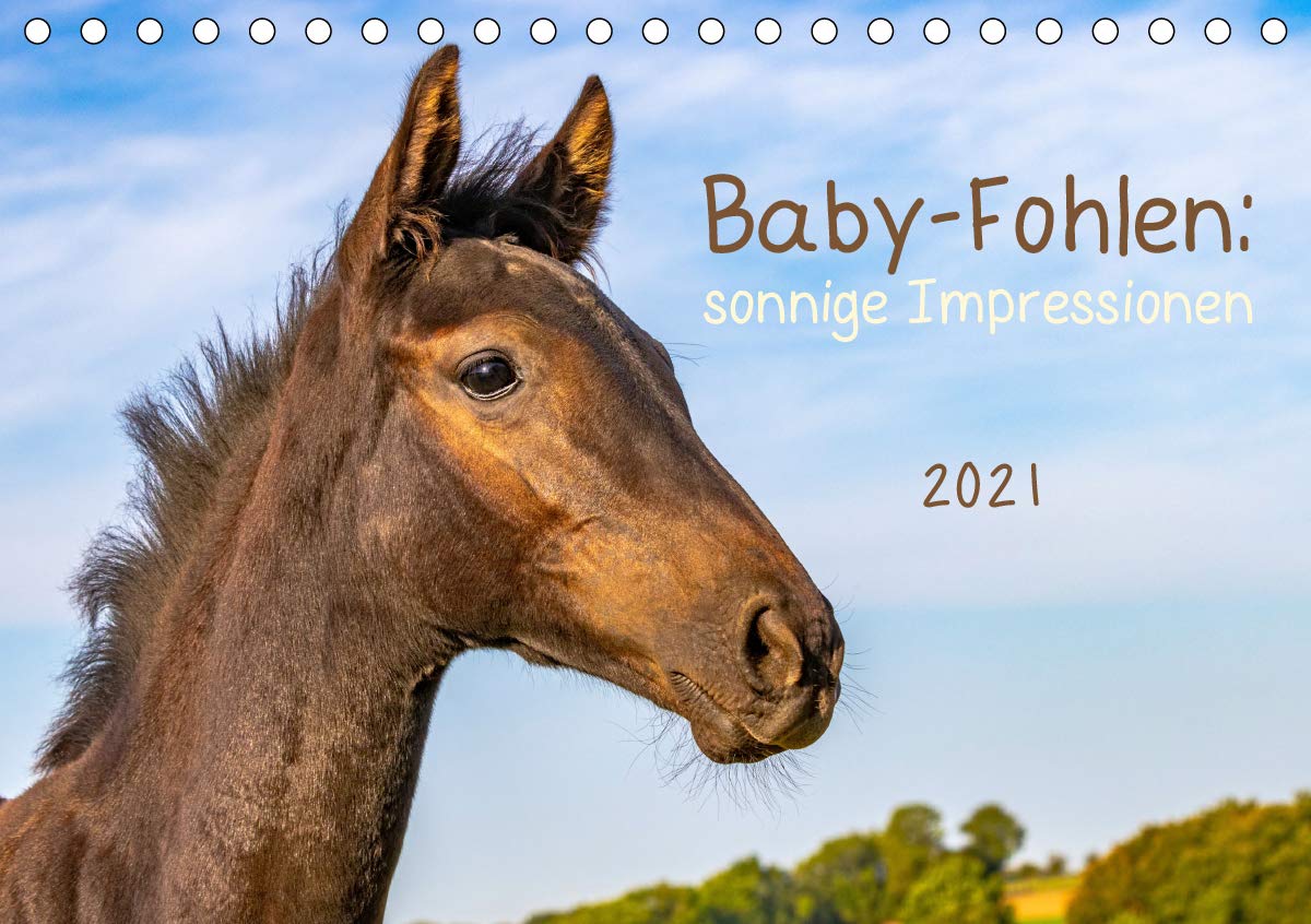 Baby-Fohlen: sonnige Impressionen (Tischkalender 2021 DIN A5 quer): Süsse Pferdekinder, auf der Wiese beobachtet (Monatskalender, 14 Seiten ) (CALVENDO Tiere) Leisure, Home & Garden