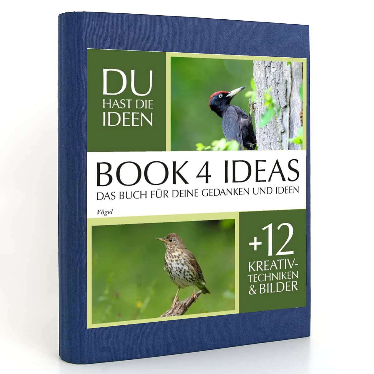BOOK 4 IDEAS classic | Vögel, Notizbuch, Bullet Journal mit Kreativitätstechniken und Bildern, DIN A5: Einheimische Vögel Film, Art & Culture
