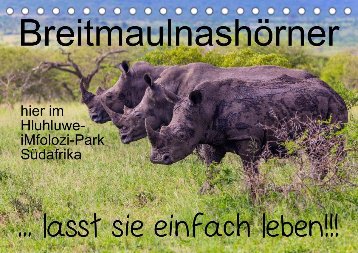 Breitmaulnashörner - lasst sie einfach leben! (Tischkalender 2021 DIN A5 quer): Ein kleiner Beitrag gegen die sinnlose Wilderei dieser prächtigen Tiere (Monatskalender, 14 Seiten ) (CALVENDO Tiere) Leisure, Home & Garden