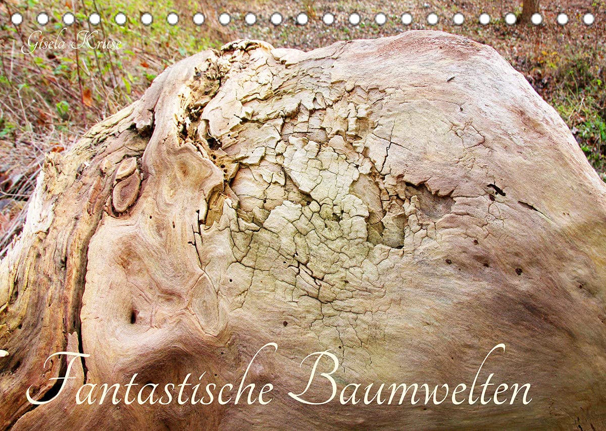 Fantastische Baumwelten (Tischkalender 2022 DIN A5 quer): Inspirierende Kunst alter Baumstämme (Monatskalender, 14 Seiten ) (CALVENDO Natur) Leisure, Home & Garden