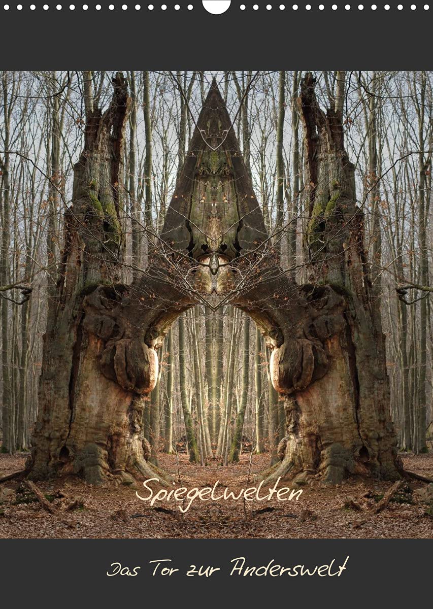 Spiegelwelten - Das Tor zur Anderswelt (Wandkalender 2022 DIN A3 hoch): Einblick in die multidimensionale Welt der Natur (Monatskalender, 14 Seiten ) (CALVENDO Kunst) Leisure, Home & Garden