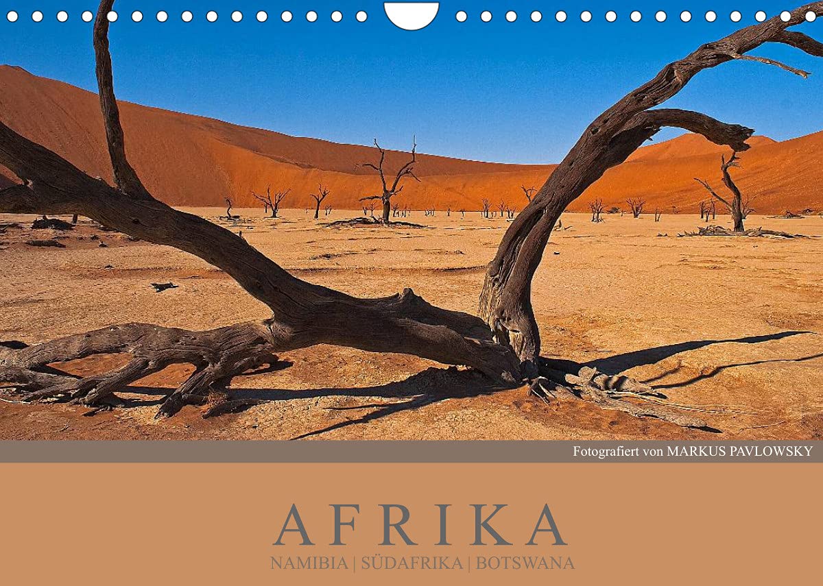 Afrika Impressionen. NAMIBIA - SÜDAFRIKA - BOTSWANA (Wandkalender 2022 DIN A4 quer): Wildlife und atemberaubende Landschaften (Monatskalender, 14 Seiten ) (CALVENDO Orte) Leisure, Home & Garden