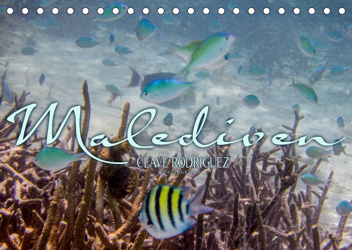 Unterwasserwelt der Malediven III (Tischkalender 2022 DIN A5 quer): Die vielfältige und faszinierende Unterwasserwelt der Malediven. (Monatskalender, 14 Seiten ) (CALVENDO Natur) Leisure, Home & Garden