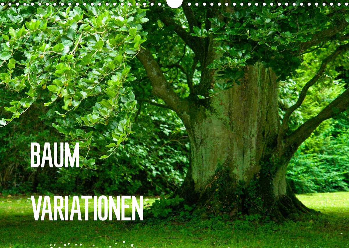 Baum-Variationen (Wandkalender 2022 DIN A3 quer): Ob als Wald, Allee oder einzelstehender Blickfang – Bäume bereichern unsere Welt unverzichtbar und ... (Monatskalender, 14 Seiten ) (CALVENDO Natur) Leisure, Home & Garden