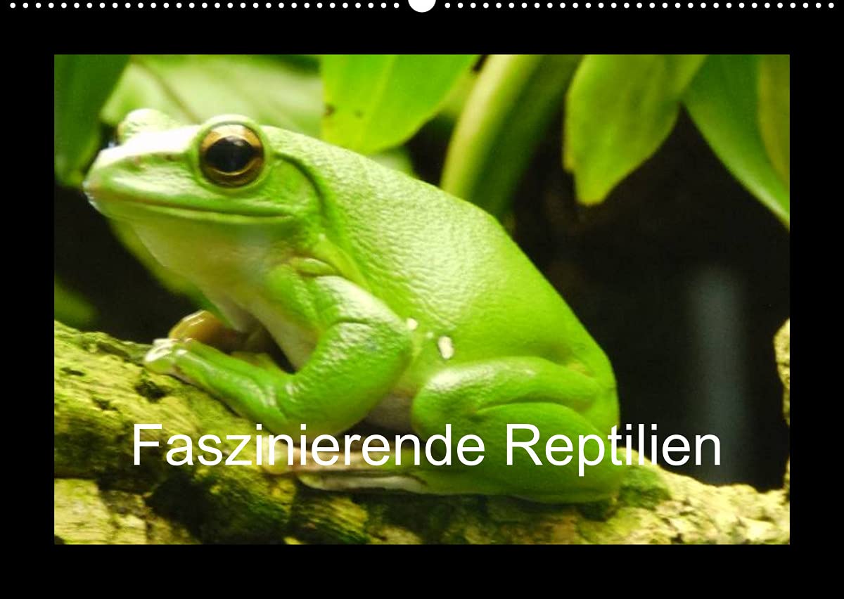 Faszinierende Reptilien (Wandkalender 2022 DIN A2 quer): Schöner Kalender mit einzigartigen Reptilien (Monatskalender, 14 Seiten ) (CALVENDO Tiere) Natural Sciences