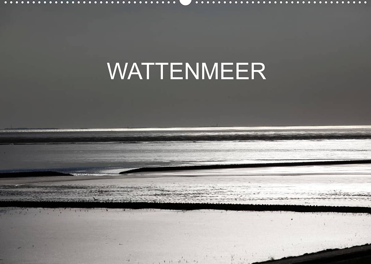 Wattenmeer (Wandkalender 2022 DIN A2 quer): Fotografien vom Wattenmeer an der Nordsee (Monatskalender, 14 Seiten ) (CALVENDO Natur) Calendars