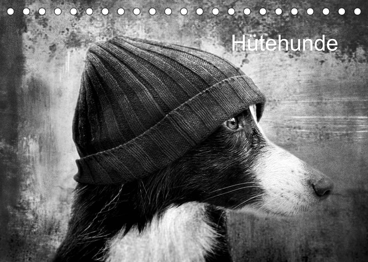 Hütehunde (Tischkalender 2022 DIN A5 quer): Ein humorvoller Kalender für den Hundefreund (Monatskalender, 14 Seiten ) (CALVENDO Tiere) Photography
