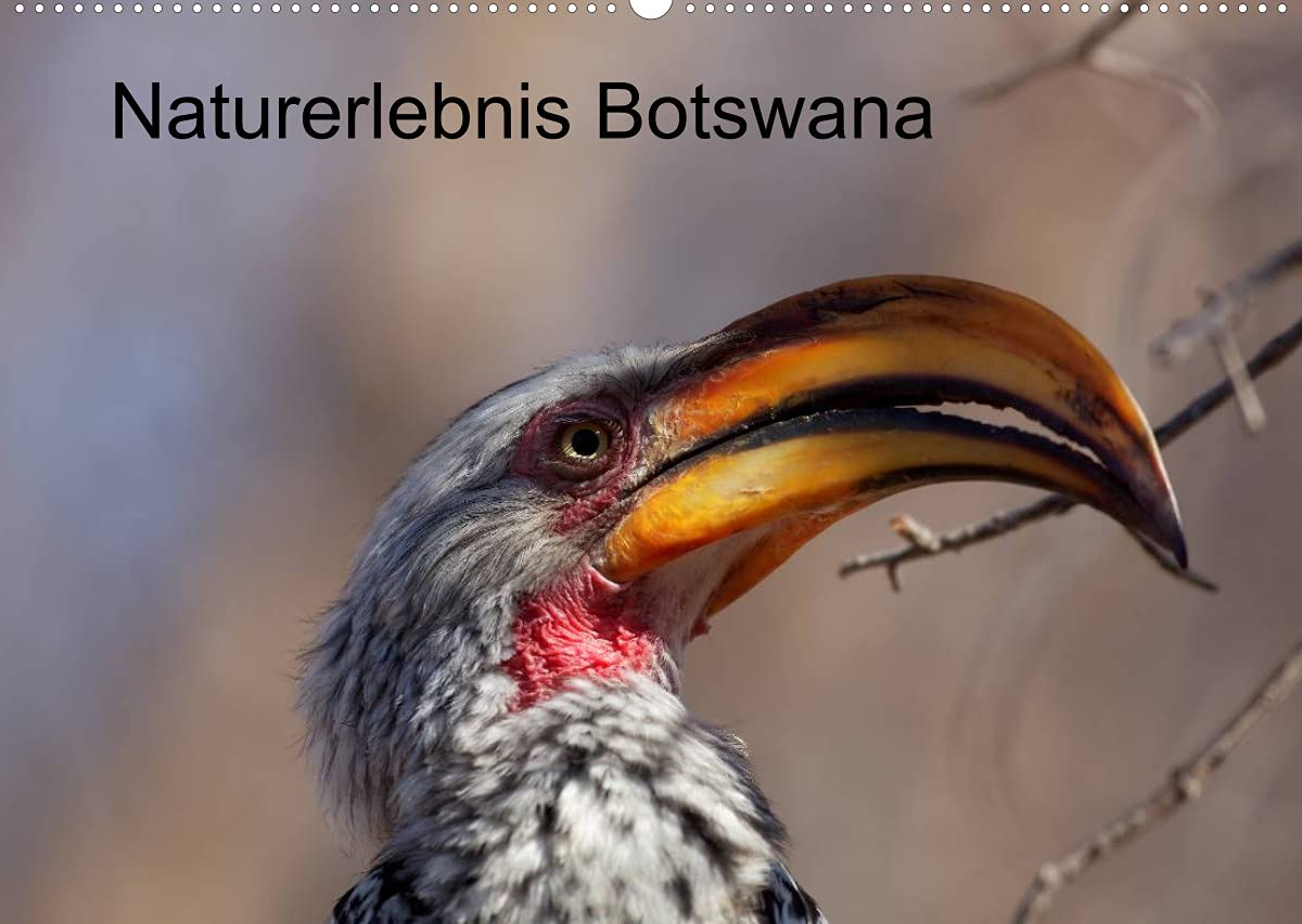 Naturerlebnis Botswana (Wandkalender 2022 DIN A2 quer): Eindrücke aus dem Chobe Park und dem Okavango Delta (Monatskalender, 14 Seiten ) (CALVENDO Natur) Leisure, Home & Garden