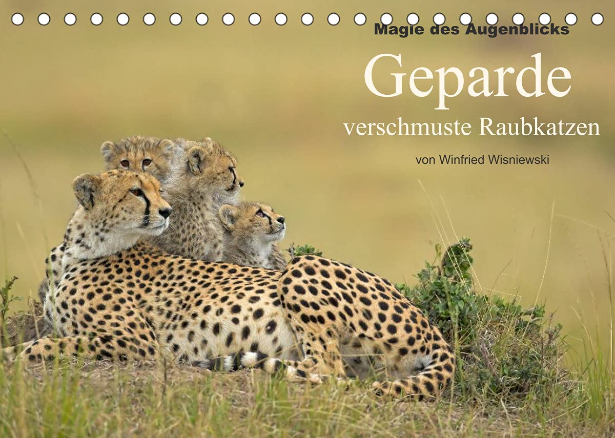 Magie des Augenblicks: Geparde - verschmuste Raubkatzen (Tischkalender 2022 DIN A5 quer): Winfried Wisniewski hat über 30 Jahre Gepardenmütter mit ... (Monatskalender, 14 Seiten ) (CALVENDO Tiere) Natural Sciences