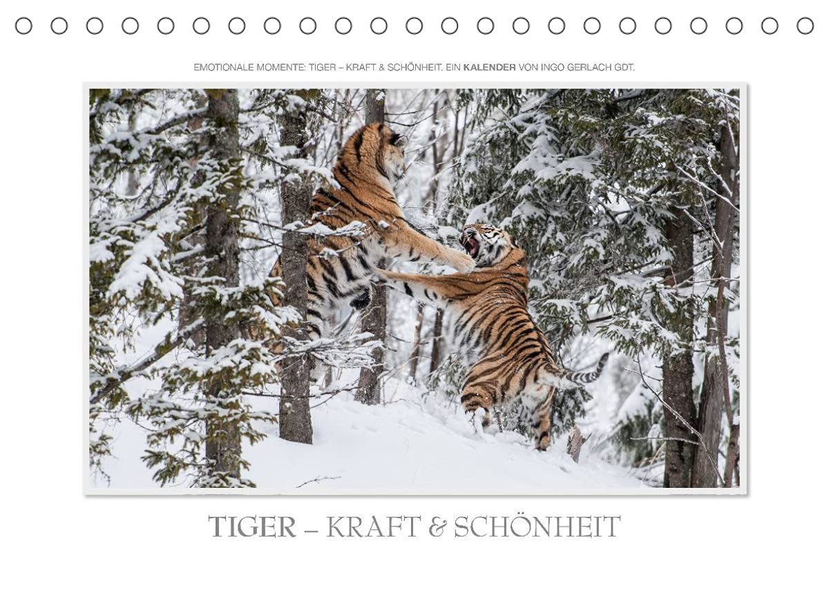Emotionale Momente: Tiger - Kraft & Schönheit. (Tischkalender 2022 DIN A5 quer): Ingo Gerlach GDT hat die schönsten Bilder vom Tiger für diesen ... (Monatskalender, 14 Seiten ) (CALVENDO Tiere) Film, Art & Culture