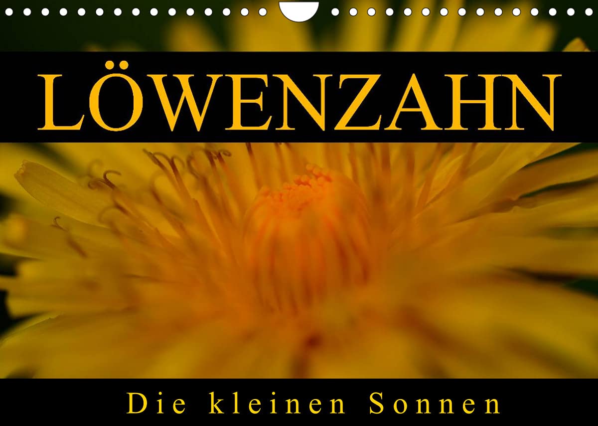 Löwenzahn - Die kleinen Sonnen (Wandkalender 2022 DIN A4 quer): Löwenzahn in jedem Lebensstadium (Monatskalender, 14 Seiten ) (CALVENDO Natur) Garden & Plants