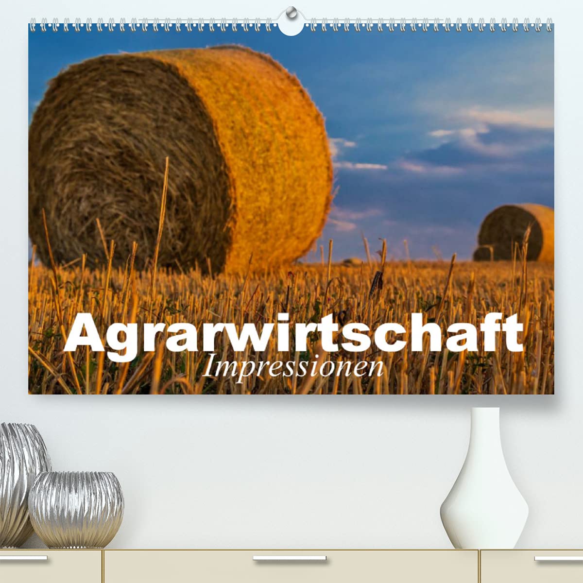Agrarwirtschaft - Impressionen (Premium, hochwertiger DIN A2 Wandkalender 2022, Kunstdruck in Hochglanz): Agrar- und Landwirtschaft der Moderne (Monatskalender, 14 Seiten ) (CALVENDO Natur) Living & Furnishing
