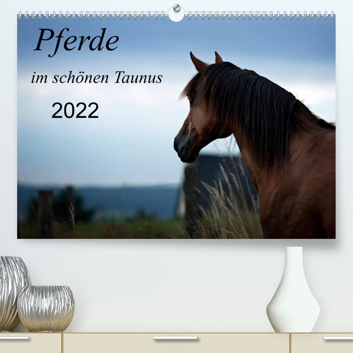 Pferde im schönen Taunus (Premium, hochwertiger DIN A2 Wandkalender 2022, Kunstdruck in Hochglanz): Momentaufnahmen "Pferde im Taunus" (Monatskalender, 14 Seiten ) (CALVENDO Tiere) Photography