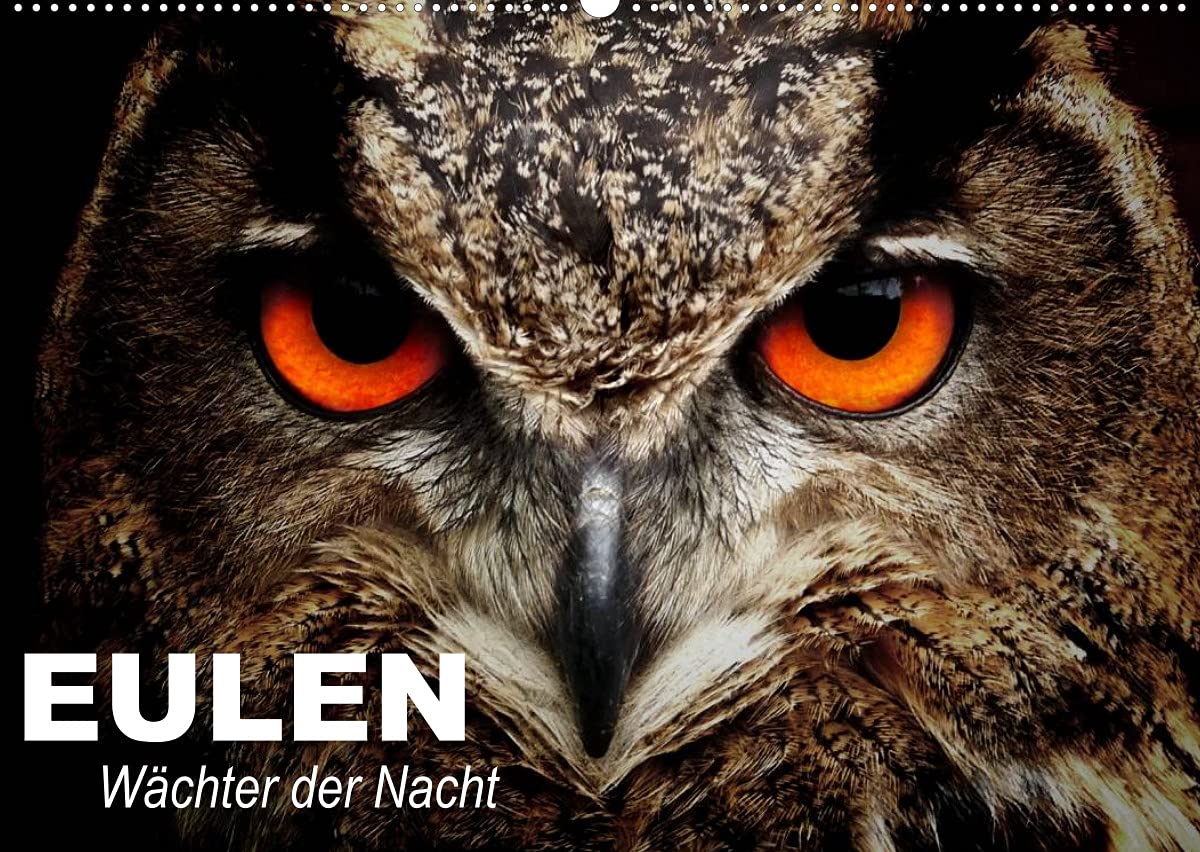 Eulen. Wächter der Nacht (Wandkalender 2022 DIN A2 quer): Die mystischen Waldbewohner mit großer Fan-Gemeinde (Geburtstagskalender, 14 Seiten ) (CALVENDO Tiere) Living & Furnishing