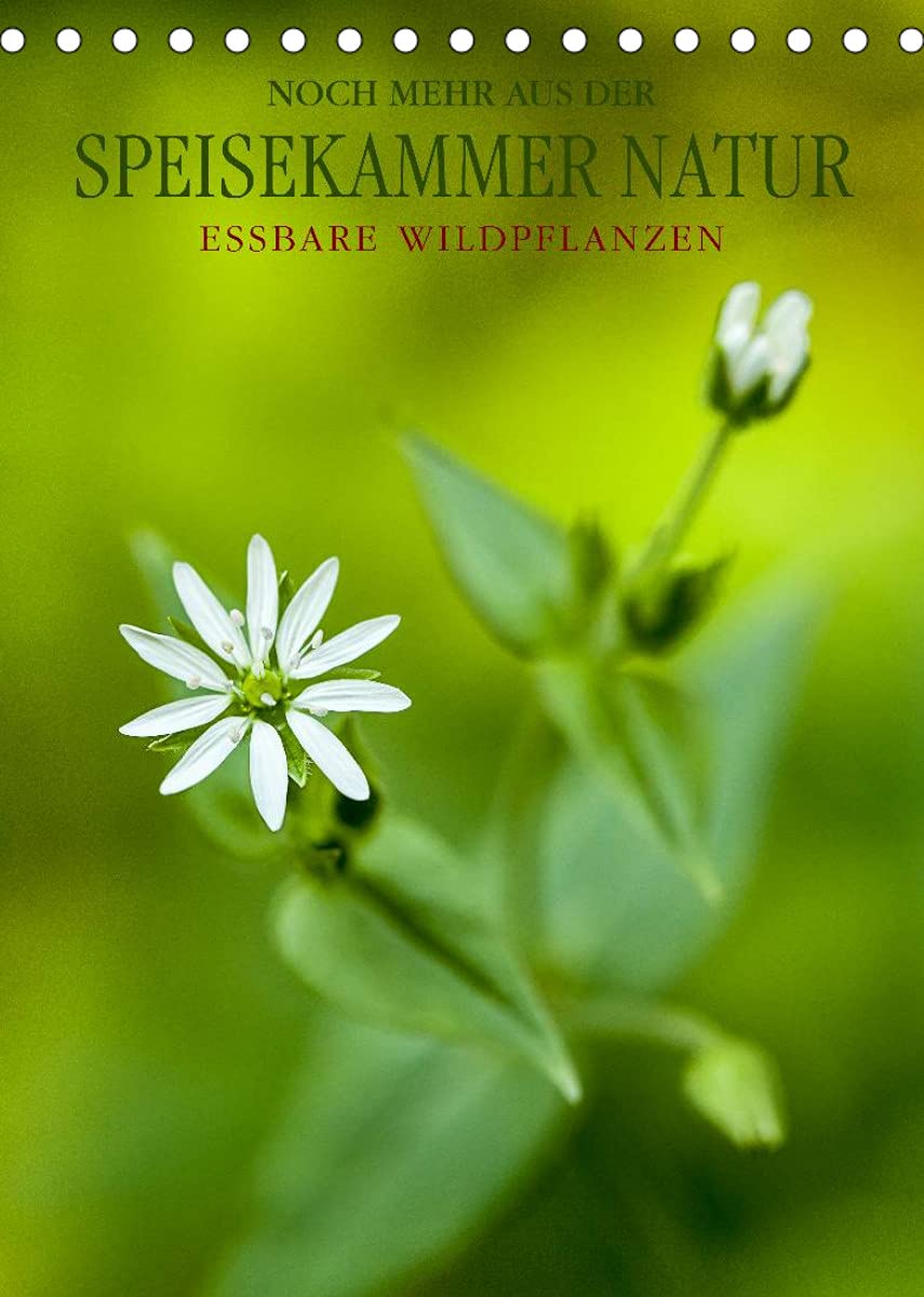 NOCH MEHR AUS DER SPEISEKAMMER NATURCH-Version (Tischkalender 2022 DIN A5 hoch): Essbare Wildpflanzen: faszinierend, gesundheitsfördernd und ... 14 Seiten ) (CALVENDO Lifestyle) Leisure, Home & Garden
