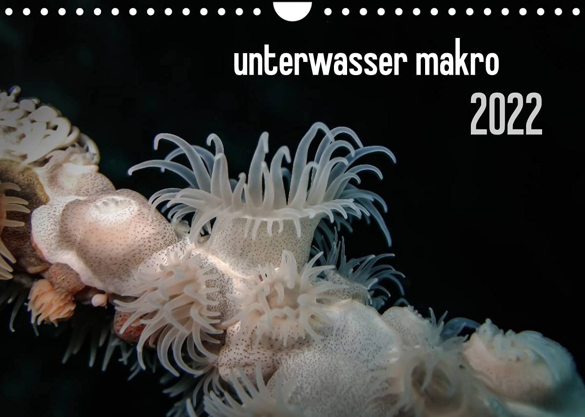 unterwasser makro 2022 (Wandkalender 2022 DIN A4 quer): unterwasser makro - zauberhafte Makrowelt der Meere (Monatskalender, 14 Seiten ) (CALVENDO Tiere) Photography