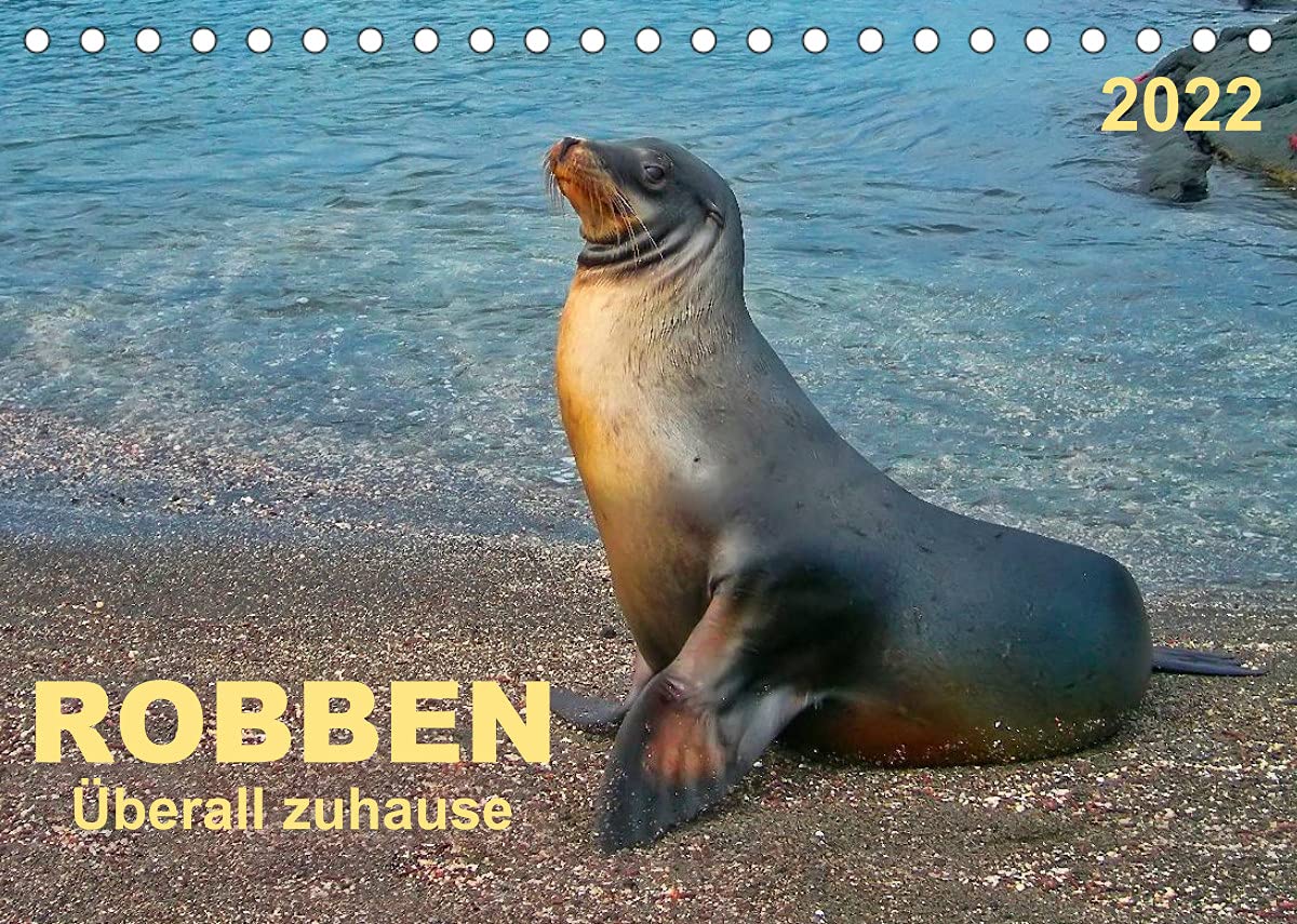 Robben - überall zuhause (Tischkalender 2022 DIN A5 quer): Sie ist in zahlreichen Arten auf der ganzen Welt zu finden - die Robbe. (Monatskalender, 14 Seiten ) (CALVENDO Tiere) Living & Furnishing