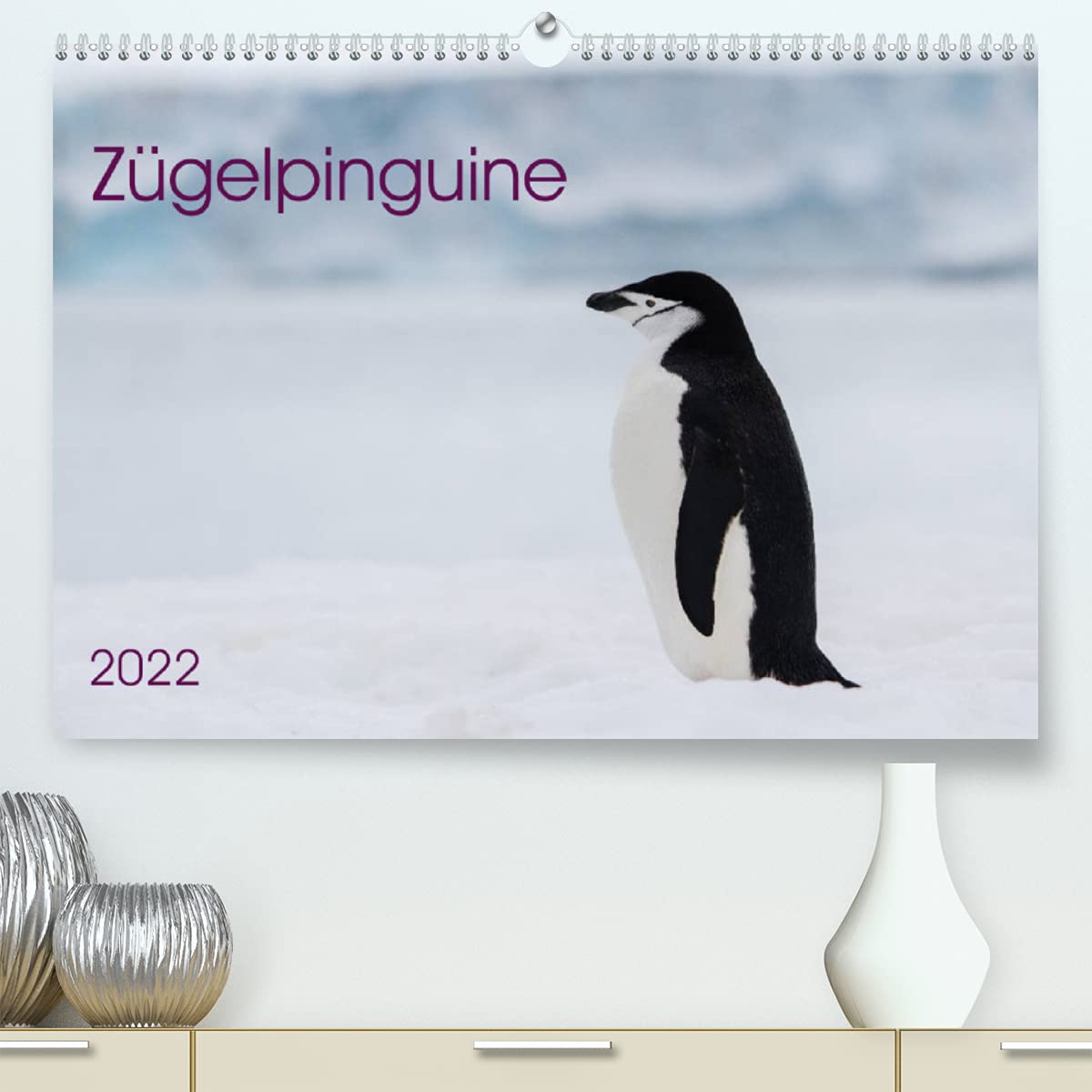 Zügelpinguine (Premium, hochwertiger DIN A2 Wandkalender 2022, Kunstdruck in Hochglanz): Zügelpinguine in ihrem Lebensraum in der Antarktis und ... (Monatskalender, 14 Seiten ) (CALVENDO Natur) Leisure, Home & Garden