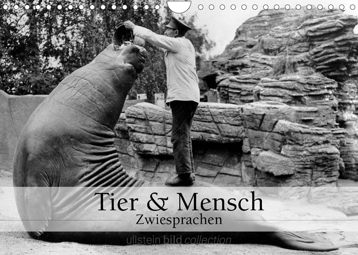 Tier und Mensch - Zwiesprachen (Wandkalender 2022 DIN A4 quer): Fotografien der ullstein bild collection zu "Tier und Mensch - Zwiesprachen" (Monatskalender, 14 Seiten ) (CALVENDO Orte) Photography