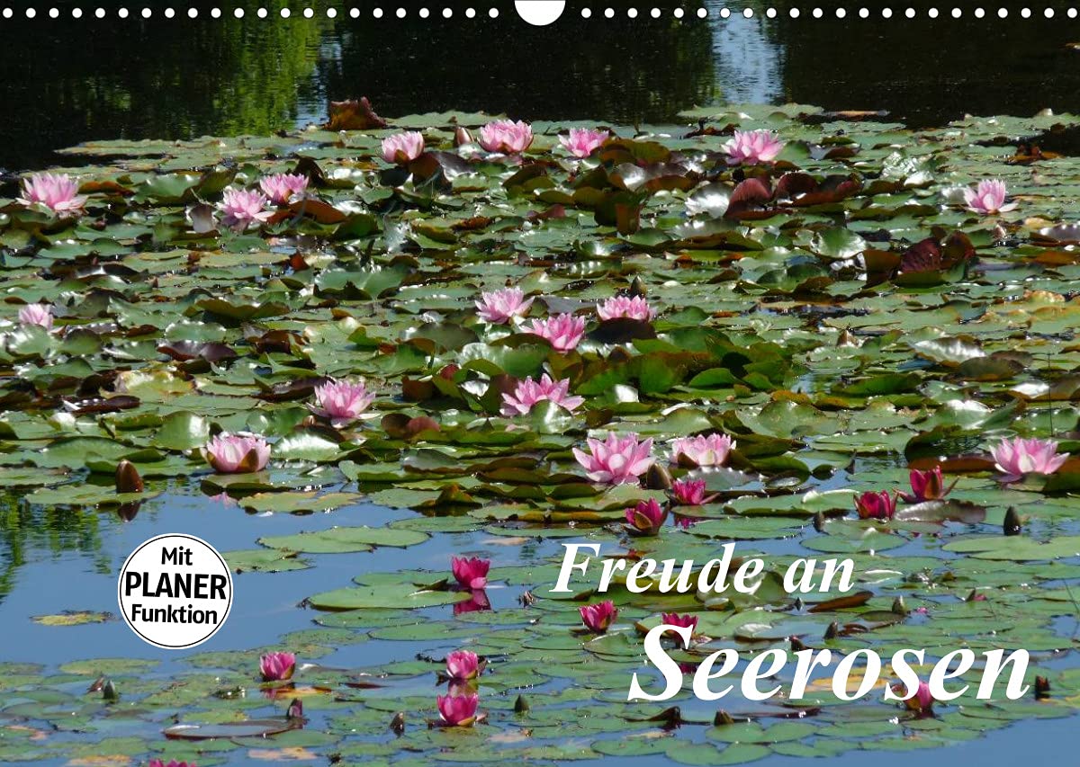 Freude an Seerosen (Wandkalender 2022 DIN A3 quer): Seerosen im Teich und in Gefäßen (Geburtstagskalender, 14 Seiten ) (CALVENDO Natur) Leisure, Home & Garden